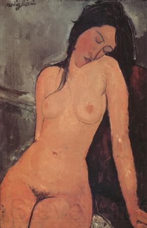 Amedeo Modigliani Nude (nn03) Spain oil painting art